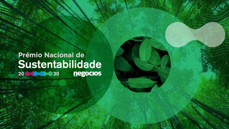 Noticia_ premio sustentabilidade